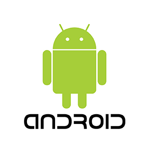 مجید جمشیدی