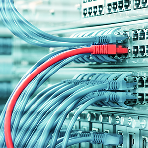 مجید جمشیدی